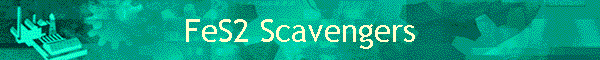 FeS2 Scavengers